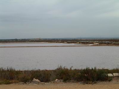 DSCF0072.JPG
